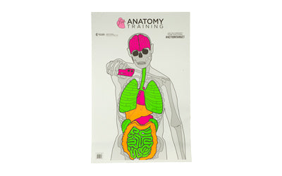 ACTION TGT ANATOMY TRNG 100PK